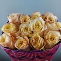 Троянда Глоу герл 50 см. Еквадор (шт, рожевий)