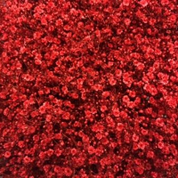 Гіпсофіла фарбована Million Star Red гілка (Голландія)