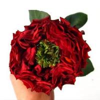 Троянда Ред ай 60 см. Еквадор (шт, червоний)