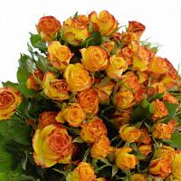 Троянда Айлайнер кущ. 70 см. Кенія (шт, жовто-помаранчевий)