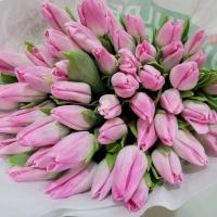 Тюльпан рожевий Голландія