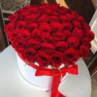 51 роза Фридом в шляпной коробке Эквадор