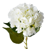 Гортензия белая 80 см Hydrang White