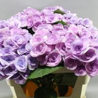 Гортензія рожева Beau Papillon Lavendel 60 см Hydr