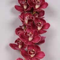 Орхідея цимбідіум 9 гілка Risto (червона)