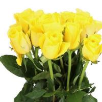 Троянда Країна номер 40 см. Еквадор (шт, жовтий)