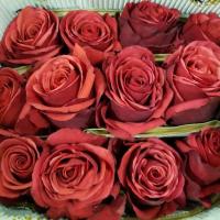 Троянда Супер Черрі Про 60 см. Еквадор (шт, червоний)