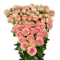 Троянда Налані 50 см. Кенія (шт, рожевий)