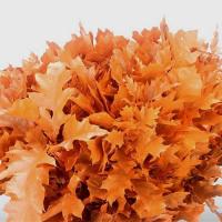 Листя дуба фарбовані шт. Eikeblad Frosted Oranje