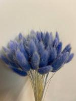 Сухоцвет Лагурус синий  60 см пучок