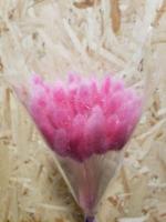 Сухоцвіт Лагурус 50 см малиновий пучок (+- 50шт)