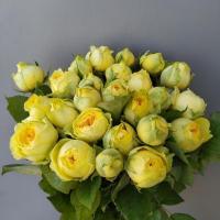 Троянда Жовта піано 35 см. Харків (шт, жовтий)