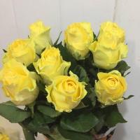 Троянда Міньєн 60 см. Кенія (шт, жовтий)