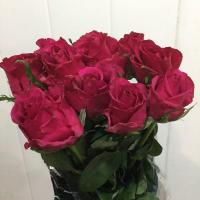 Троянда Евер пінк 60 см. Кенія (шт, малиновий)