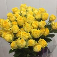 Троянда Тарантелла кущ. 60 см. Кенія (шт, жовтий)