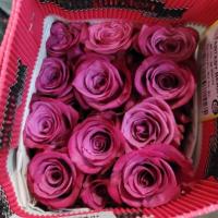 Троянда Фентезі беррі 70 см. Еквадор (шт, бузковий)
