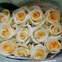 Троянда Крем де ла крем 50 см. Еквадор (шт, кремовий)