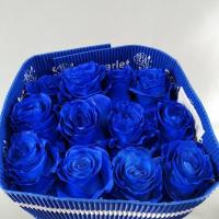 Троянда фарб. Мондіаль 80 см. Еквадор (шт, блакитний/blue)