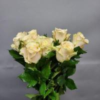 Троянда Шарман 60см. Кенія (шт, кремовий)