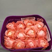 Троянда Драгон флай 40см Еквадор (шт, рожевий)