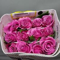 Троянда Бретлесс 70см. Еквадор (шт, рожевий)