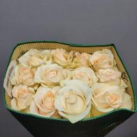 Троянда Шугар 60см. Еквадор (шт, кремовий)