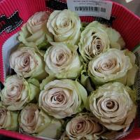 Троянда Фантазі сенд 60см. Еквадор (шт, світло-бежевий)