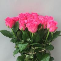 Троянда Каренза 80см. Флора Вест (шт, малиновий)