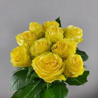 Троянда Лімонетті 60см. Кенія (шт, жовтий)
