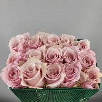 Троянда Пінк Клауд 70 см. Еквадор (шт, рожевий)